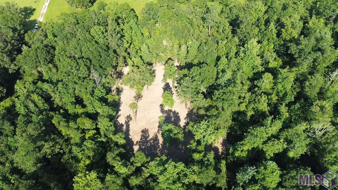 81295 South Morgan Road Folsom, LA 70437 - Photo 6 of 10