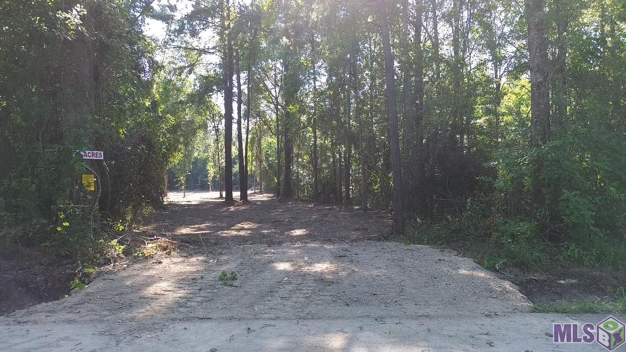 81295 South Morgan Road Folsom, LA 70437 - Photo 10 of 10