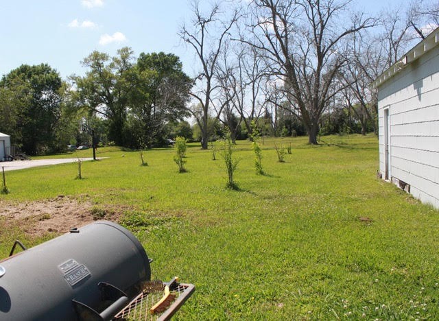 617 North Noble Road Texas City, TX 77591 - Photo 13 of 15 Beautiful 2.5 acres of land