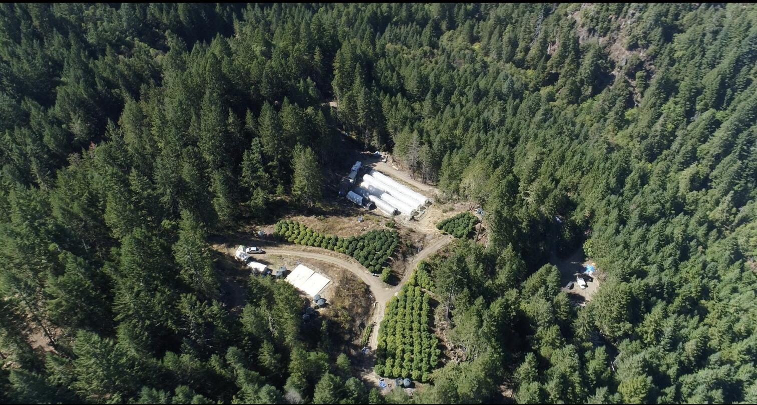 44 Acres Stapp Road Kneeland, CA 95549 - Photo 3 of 12