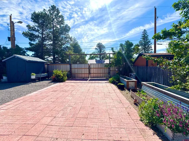 a space with palm trees