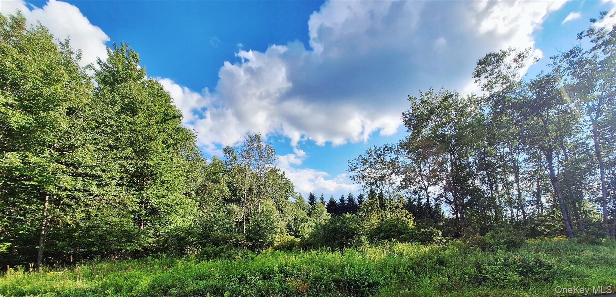 Burnt Ridge Road Fallsburg, NY 12733 - Photo 17 of 38 Gallery Image 17