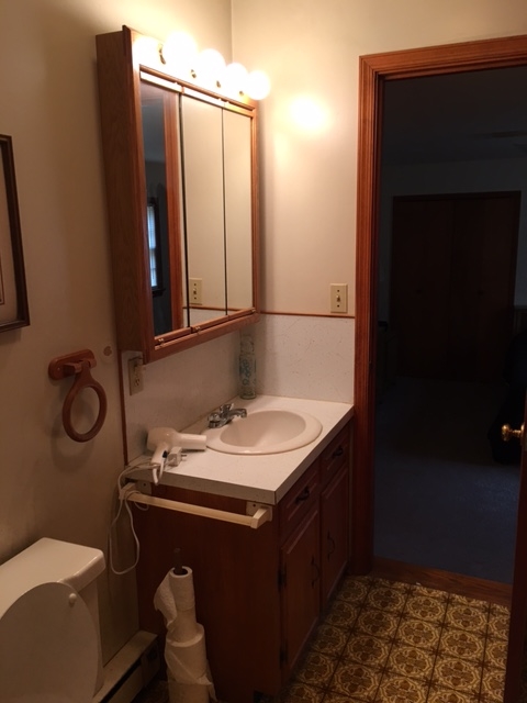 2146 Mt Torrey Road Lyndhurst, VA 22952 - Photo 13 of 15 a bathroom with a sink and a mirror