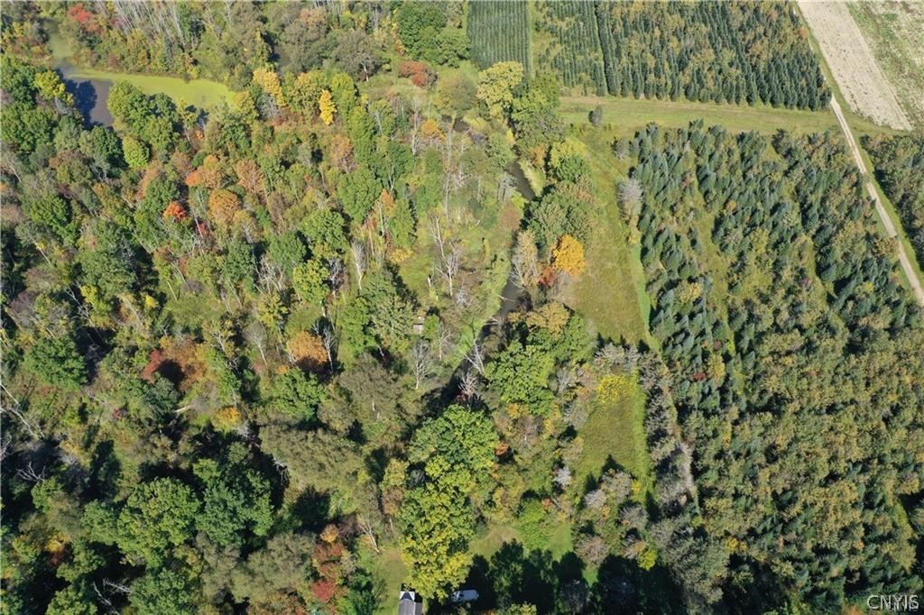 0 Bumpy Bridge Road North Prattsburgh, NY 14873 - Photo 2 of 7