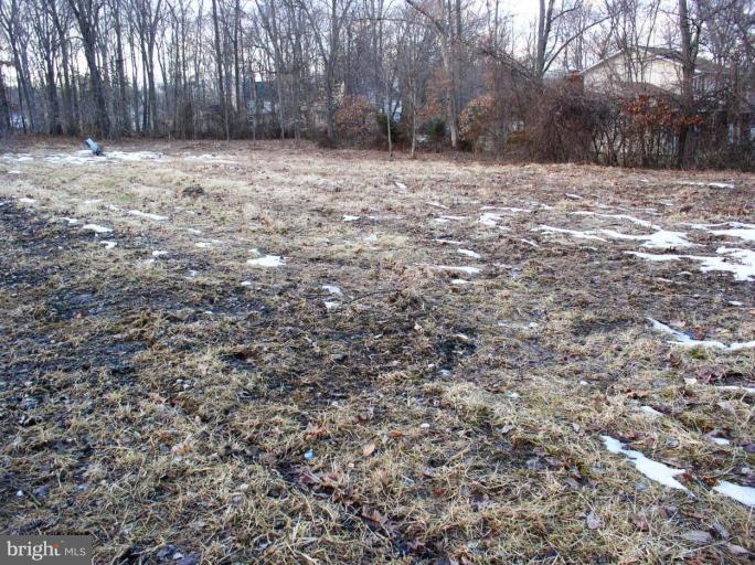 1214 Bush Road Abingdon, MD 21009 - Photo 3 of 4 Wooded View / Acreage