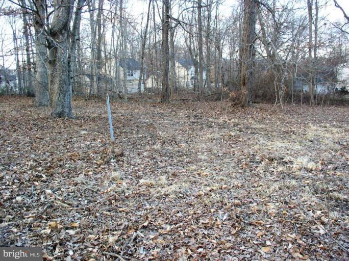 1214 Bush Road Abingdon, MD 21009 - Photo 4 of 4 Wooded View / Acreage 2