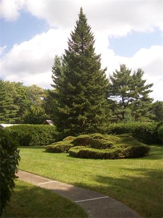 8 Cornell Road Beverly, MA 01915 - Photo 4 of 30 Gallery Image 4