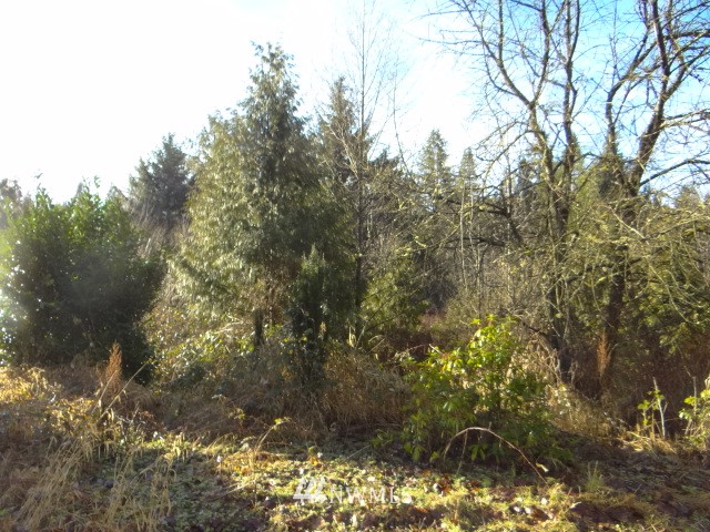 18322 OK Mill Road Snohomish, WA 98290 - Photo 22 of 25