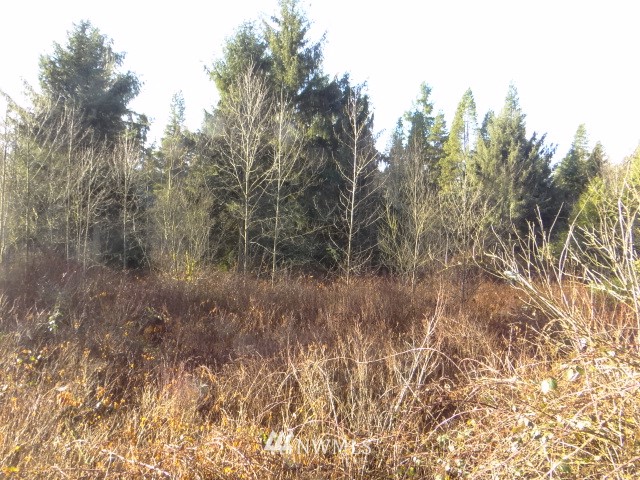 18322 OK Mill Road Snohomish, WA 98290 - Photo 23 of 25