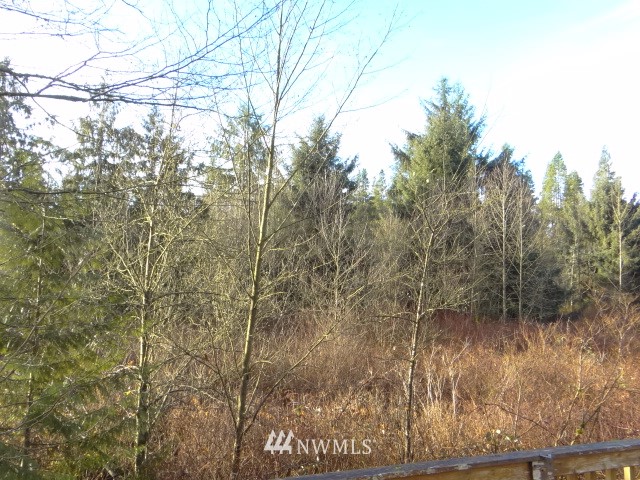 18322 OK Mill Road Snohomish, WA 98290 - Photo 6 of 25