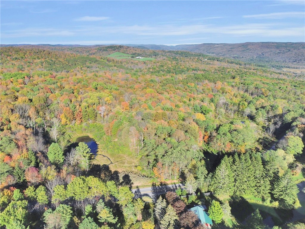 52 County Highway Cooperstown, NY 13326 - Photo 13 of 15