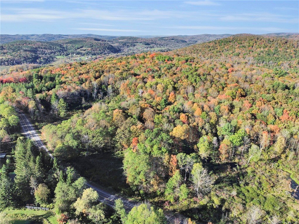 52 County Highway Cooperstown, NY 13326 - Photo 2 of 15