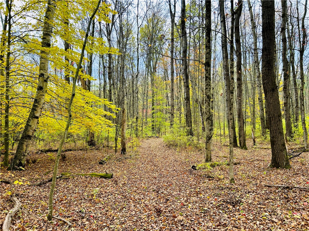 52 County Highway Cooperstown, NY 13326 - Photo 3 of 15