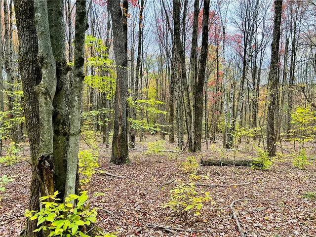 $160,000 | 52 County Highway, Cooperstown, NY 13326