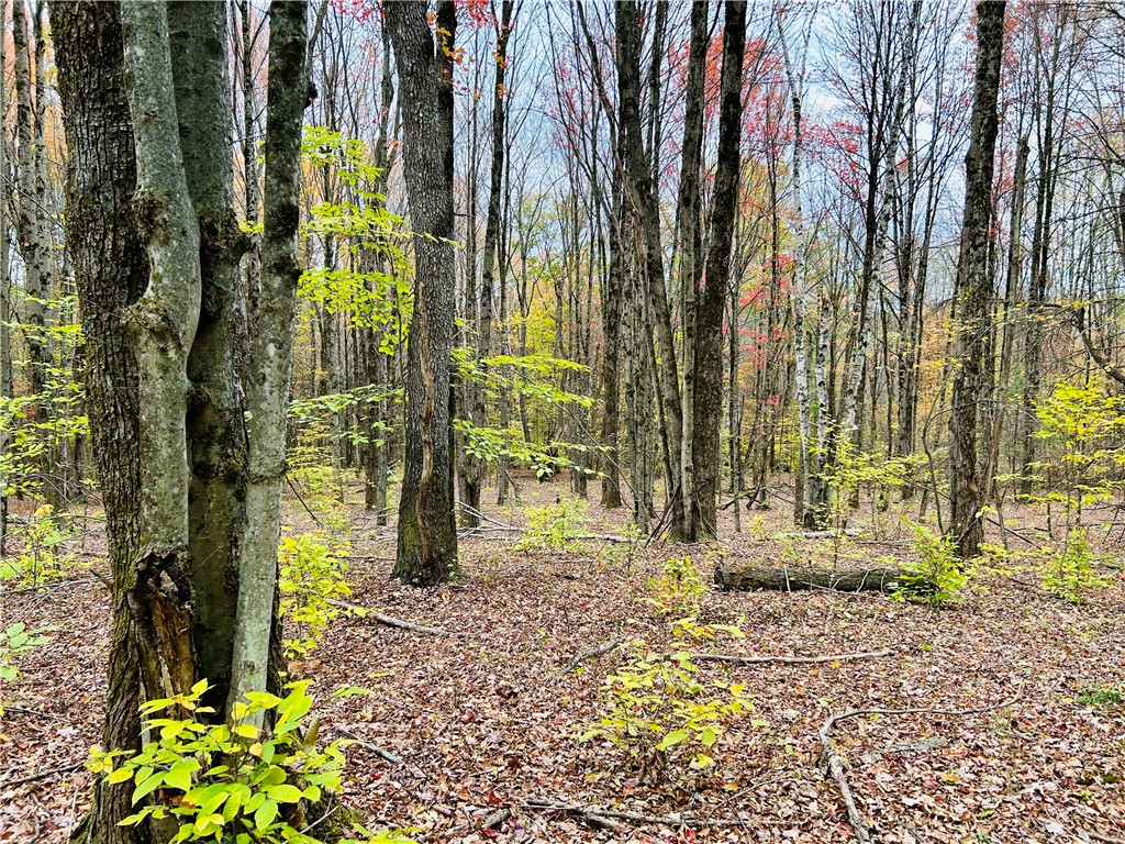 52 County Highway Cooperstown, NY 13326 - Photo 5 of 15