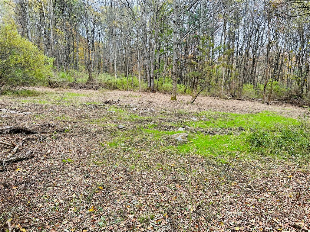 52 County Highway Cooperstown, NY 13326 - Photo 6 of 15