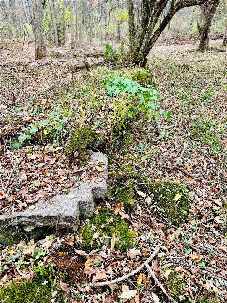 52 County Highway Cooperstown, NY 13326 - Photo 7 of 15