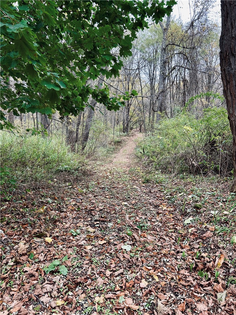 52 County Highway Cooperstown, NY 13326 - Photo 8 of 15