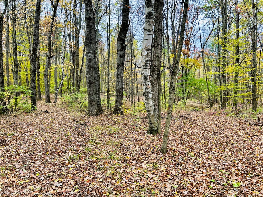 52 County Highway Cooperstown, NY 13326 - Photo 9 of 15