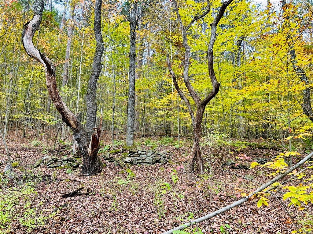 52 County Highway Cooperstown, NY 13326 - Photo 10 of 15