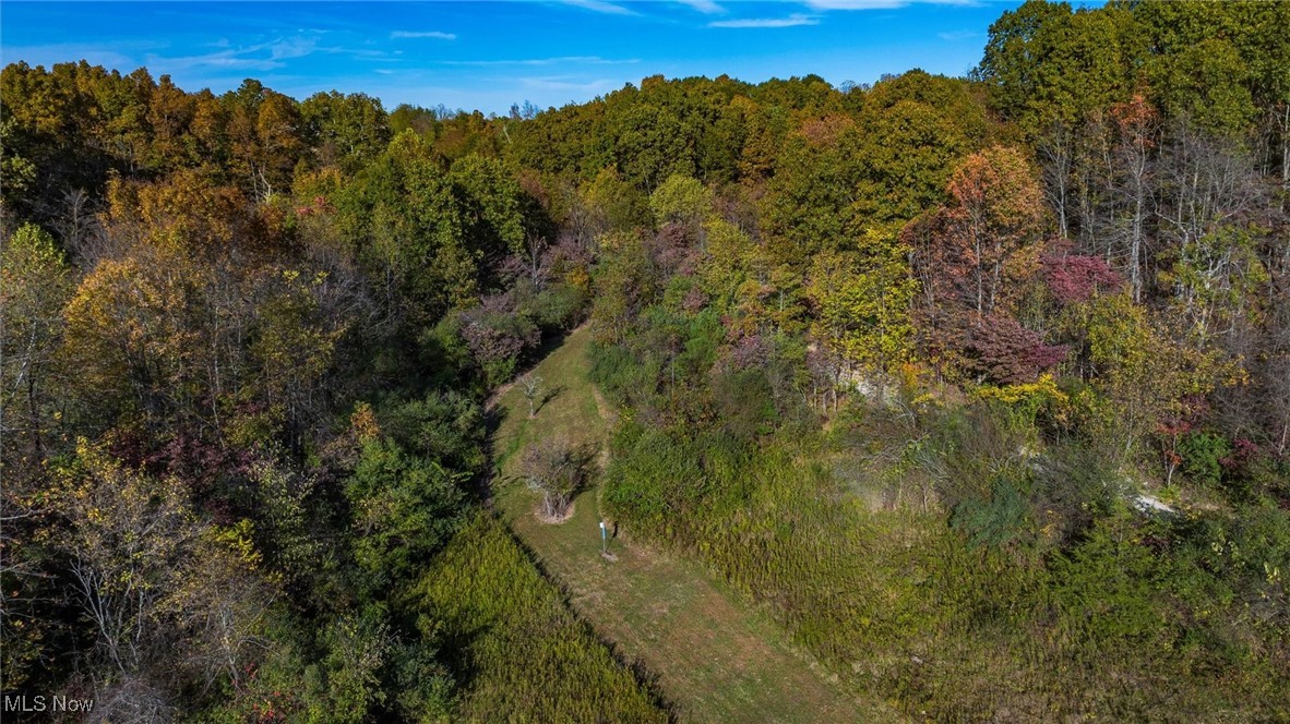 3278 Rough And Ready Road New Concord, OH 43762 - Photo 23 of 28 Bird's eye view of a heavily wooded area