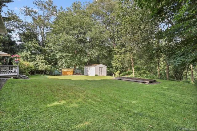 a view of a house with a yard deck and a tree