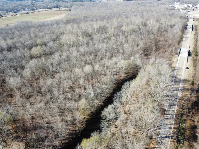 a view of a dry yard with wooden fence