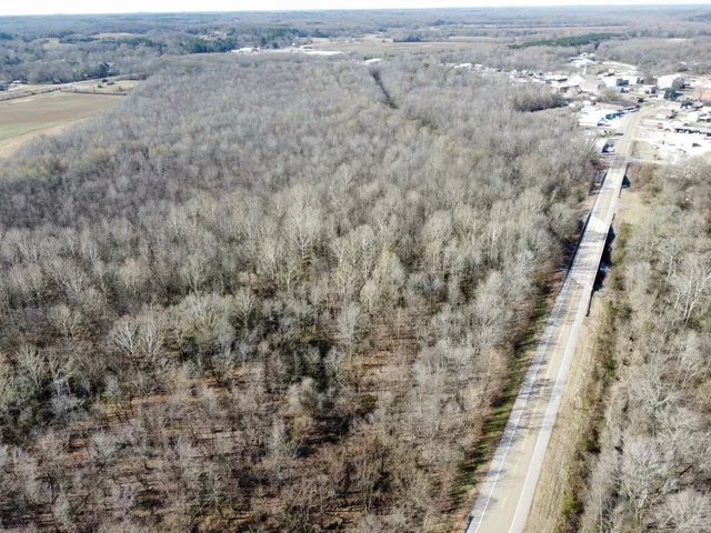 a close up of a plant with white walls
