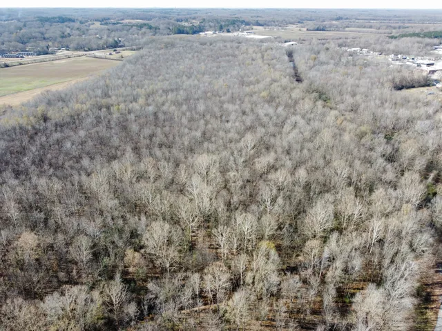 a view of beach and yard