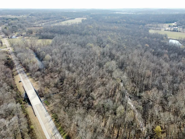 a view of a dry field
