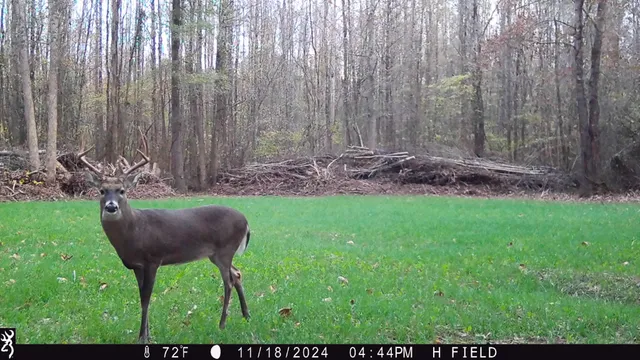 $359,900 | 0 Veterans Drive North, Huntingdon, TN 38344