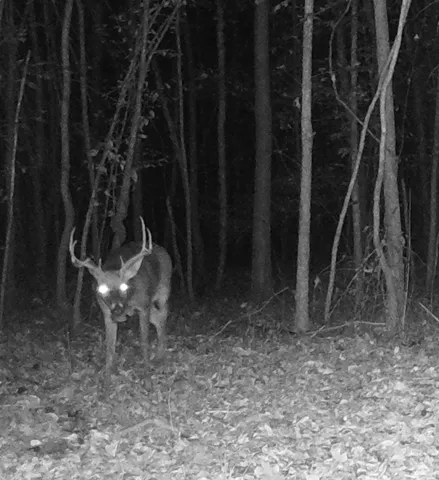 $359,900 | 0 Veterans Drive North, Huntingdon, TN 38344