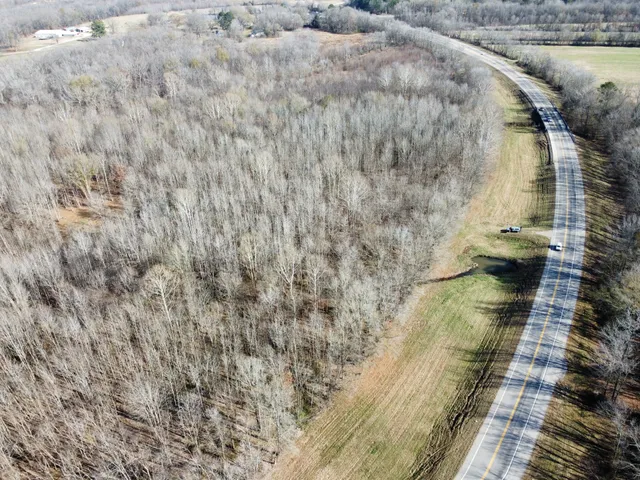 a view of a dry yard