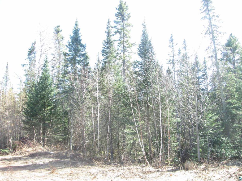 Lot 1 County Rd L South Range, WI 54874 - Photo 12 of 30