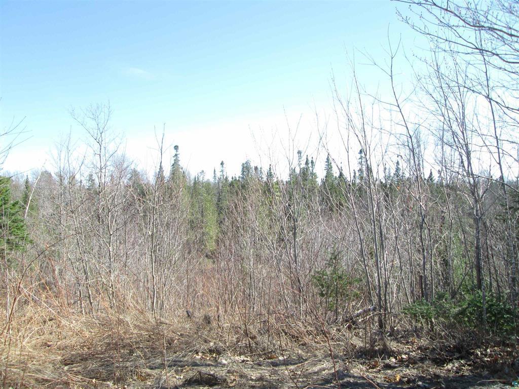 Lot 1 County Rd L South Range, WI 54874 - Photo 23 of 30