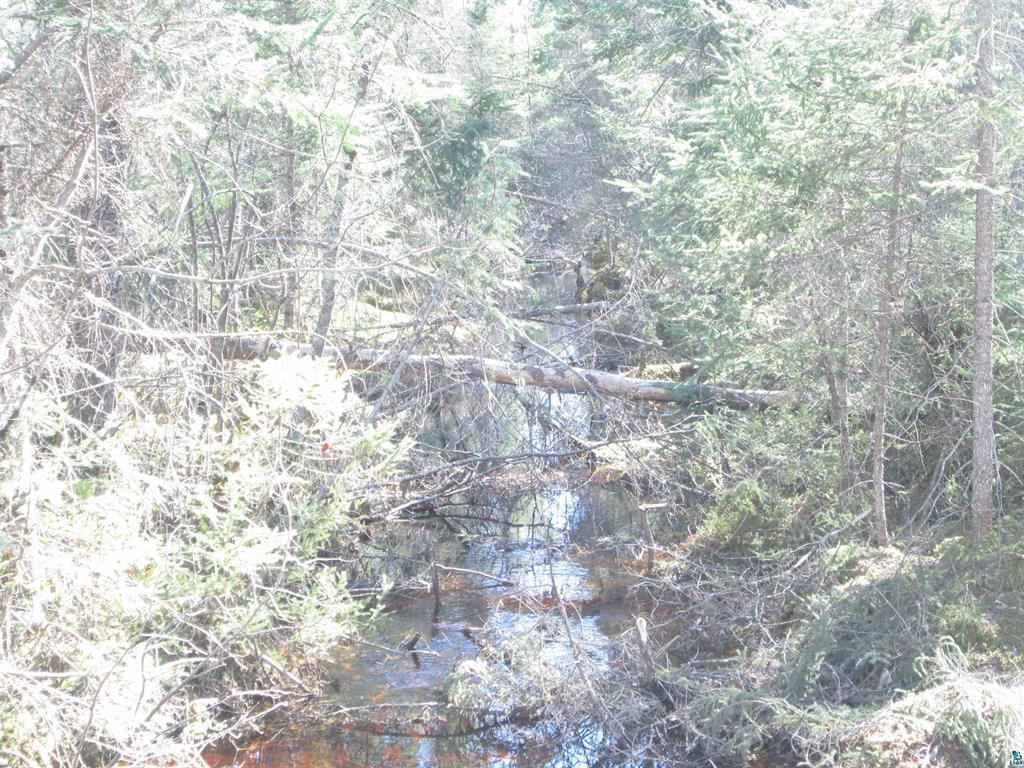 Lot 1 County Rd L South Range, WI 54874 - Photo 8 of 30