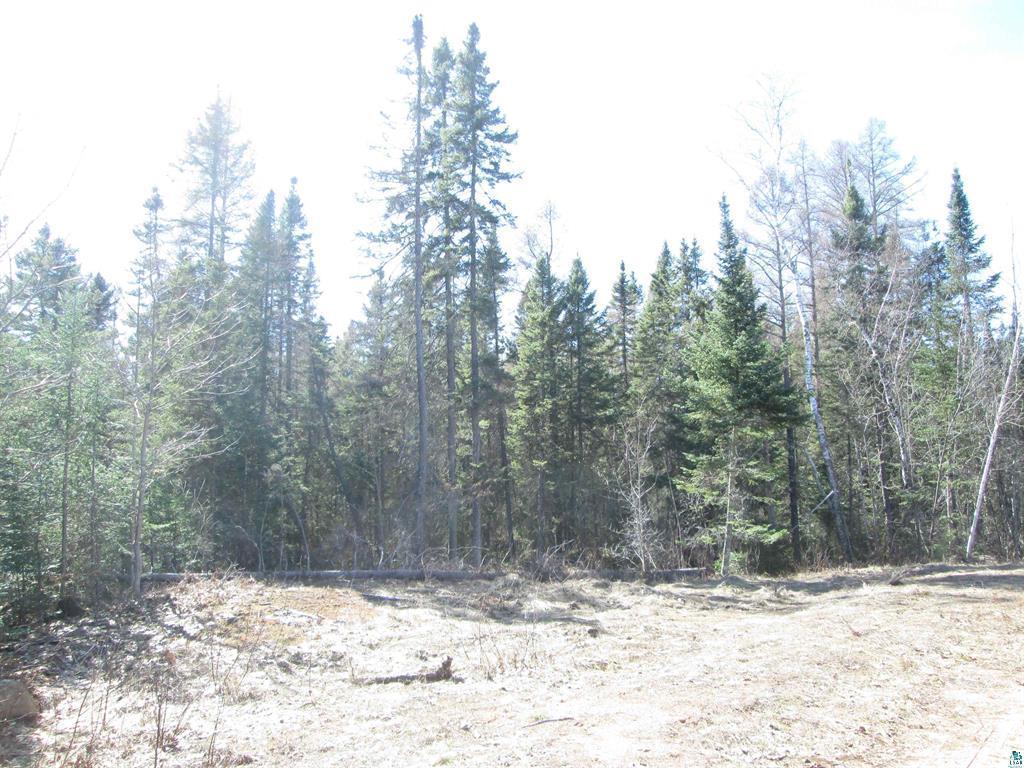 Lot 1 County Rd L South Range, WI 54874 - Photo 10 of 30