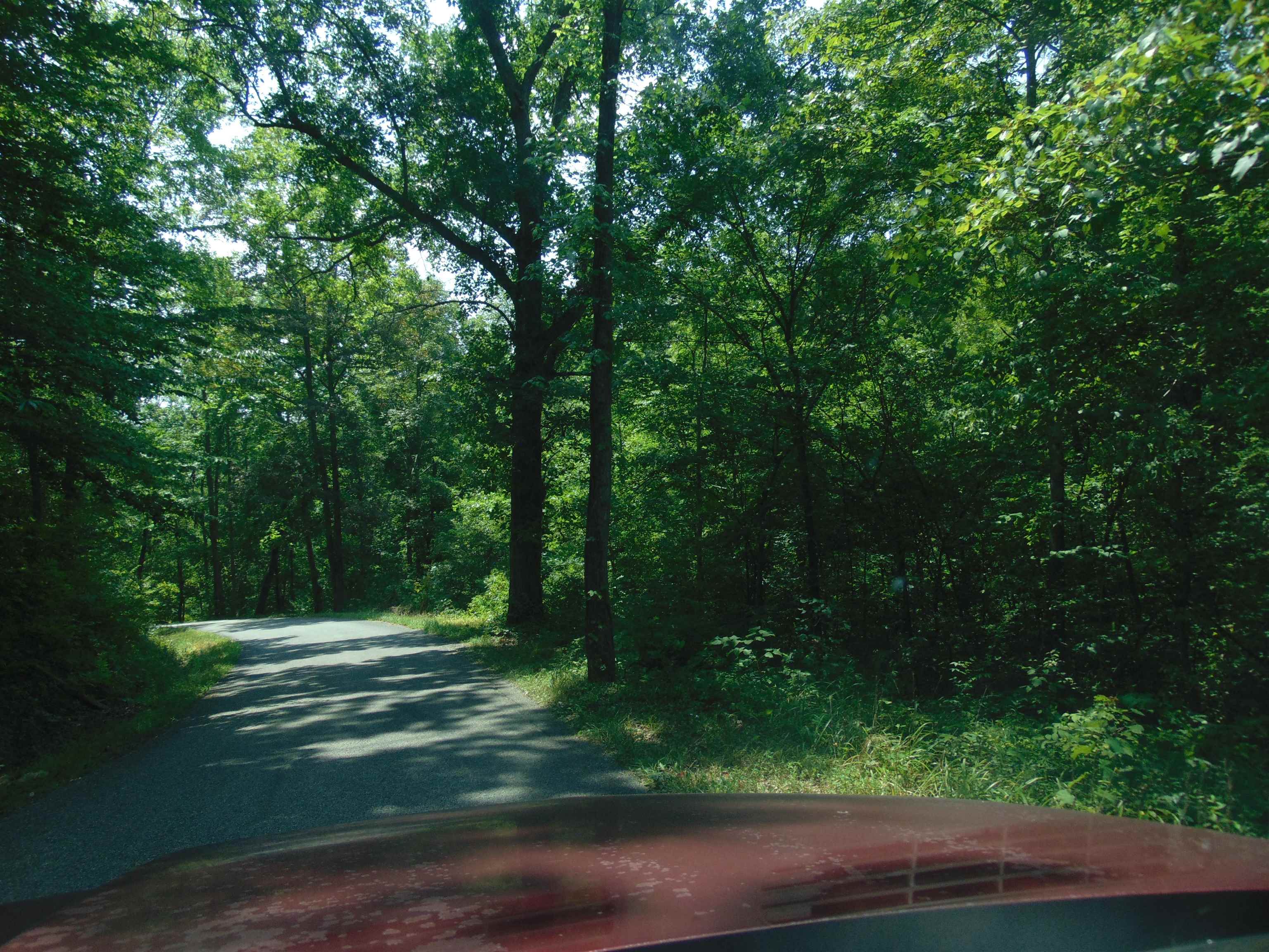 0 Tick Ridge Road Olive Hill, KY 41164 - Photo 1 of 5