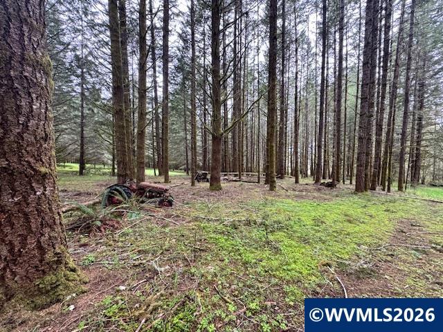 23939 Raze Road Elmira, OR 97437 - Photo 42 of 46