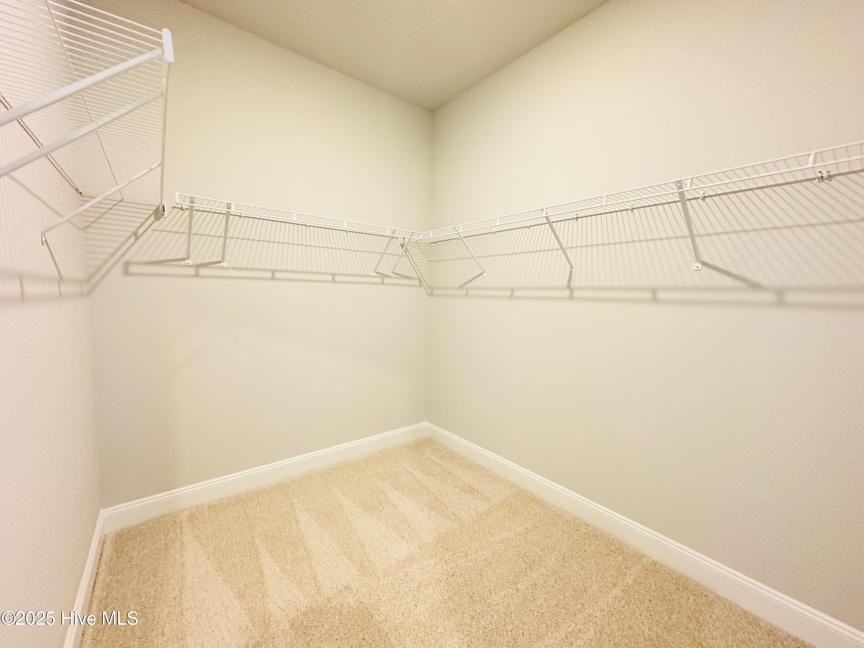 4020 Fletcher Road, Unit LOT 182 Bailey, NC 27807 - Photo 18 of 26 Primary Walk-in Closet