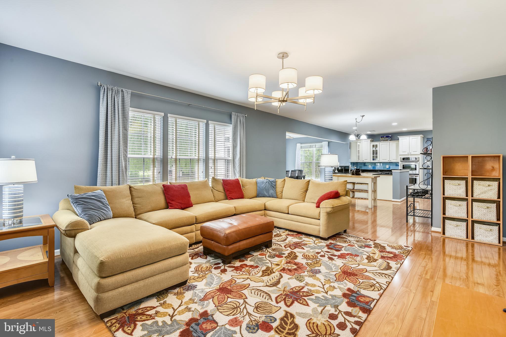 25853 Spring Farm Circle Chantilly, VA 20152 - Photo 18 of 80 Family Room