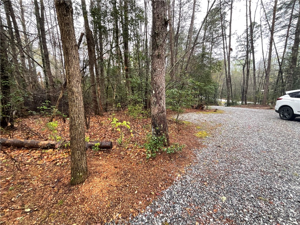 218 Ridge Road Salem, SC 29676 - Photo 29 of 34 Gallery Image 29