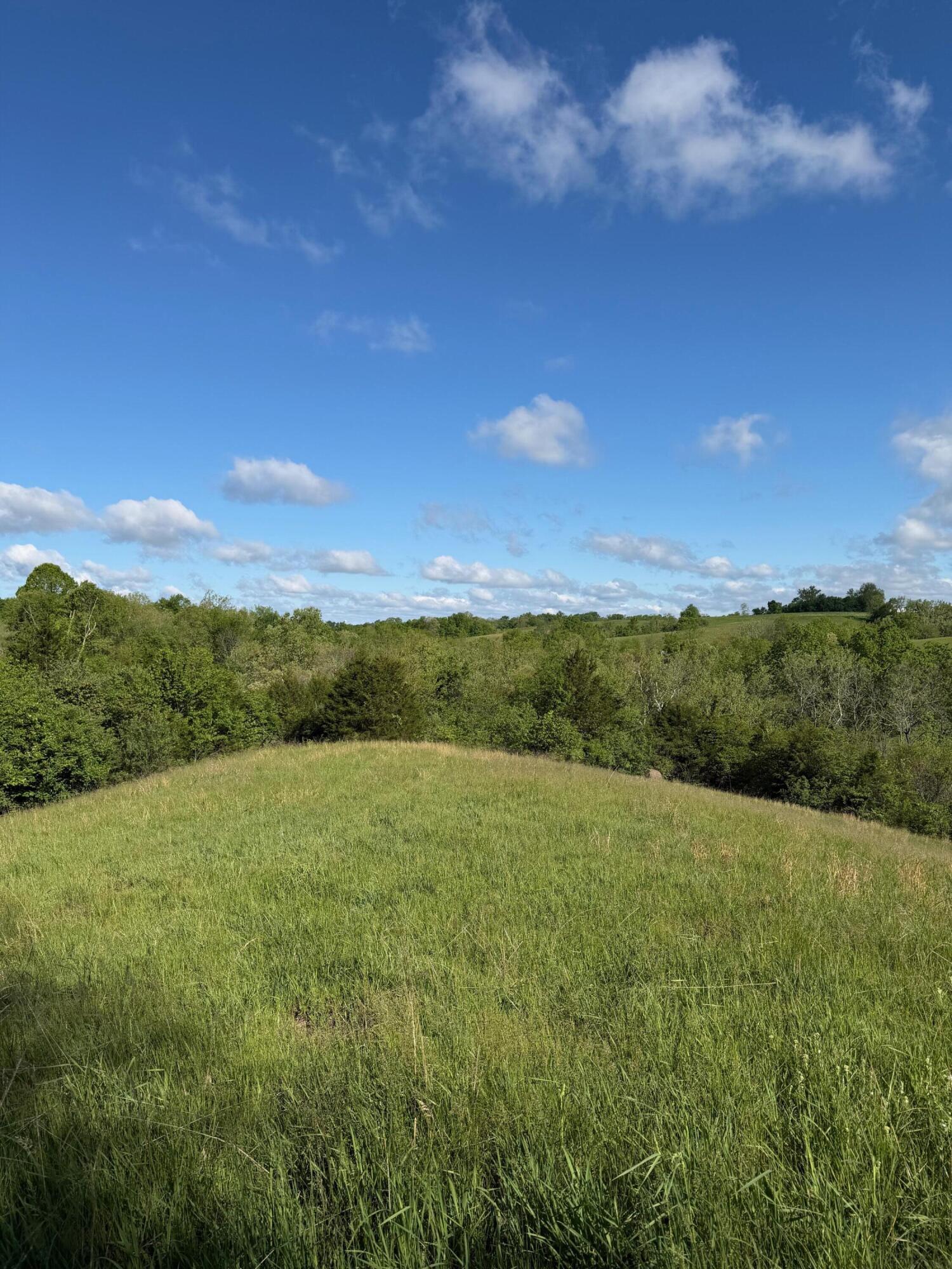 11.19-ac Chipman Ridge Road Williamstown, KY 41097 - Photo 2 of 12