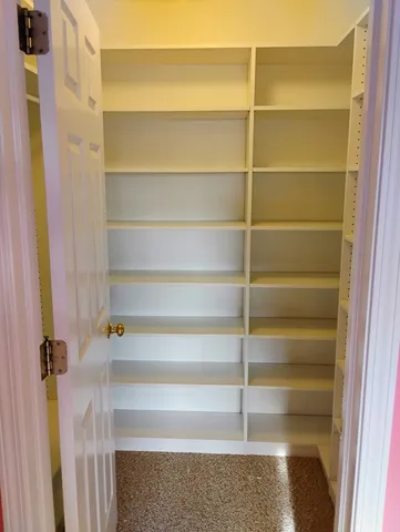 a view of walk in closet with empty racks