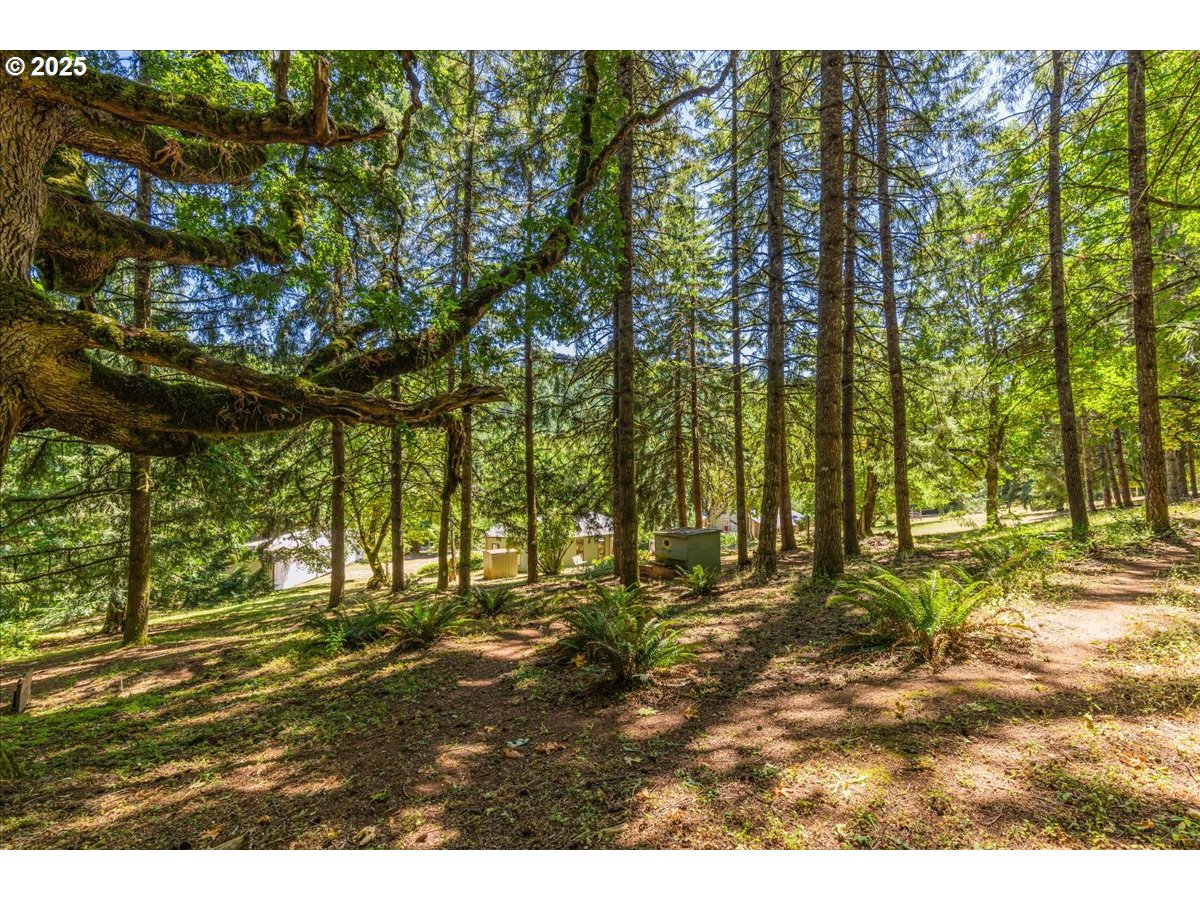 9545 Northeast Red Hills Road Dundee, OR 97115 - Photo 42 of 48 Gallery Image 42