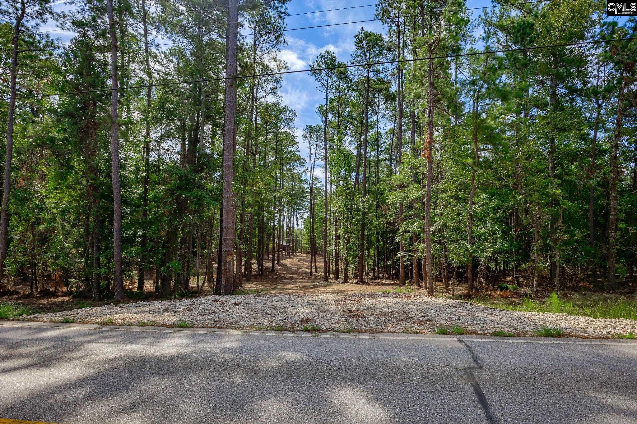 1148 Shull Island Road Gilbert, SC 29054 - Photo 18 of 20