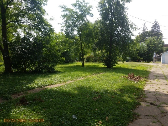 909 North 3rd Street Springfield, IL 62702 - Photo 21 of 22 a large tree in the middle of a yard