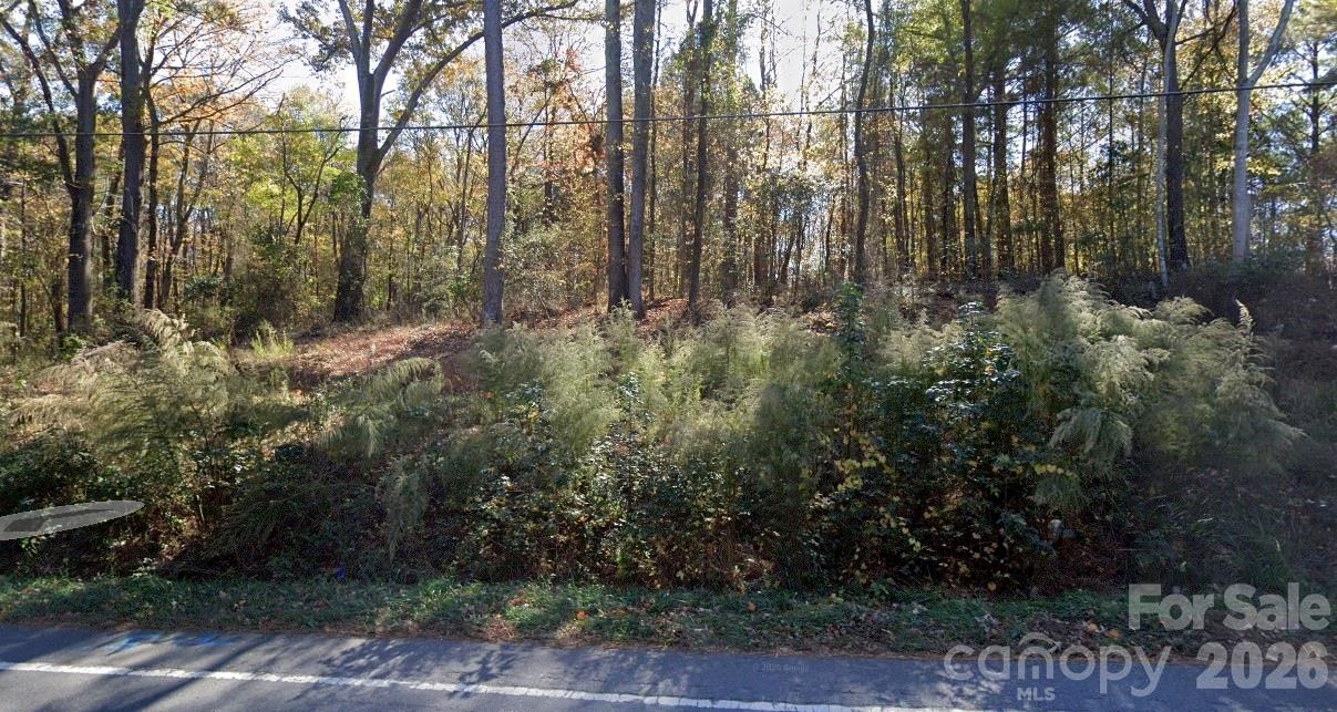 272 Marvin Road Fort Mill, SC 29707 - Photo 3 of 4 a view of forest