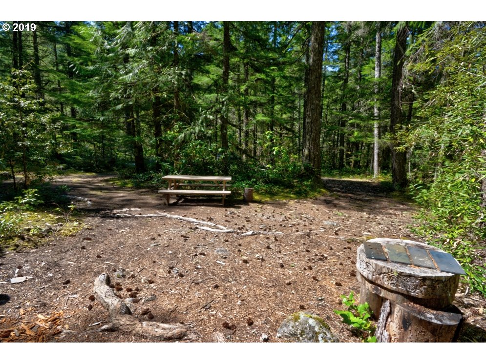 75705 East Road 28 Rhododendron, OR 97049 - Photo 27 of 28 Gallery Image 27