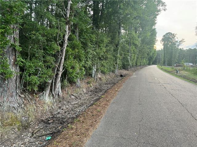 0 Russell Town Road Roseland, LA 70456 - Photo 2 of 5 Gallery Image 2